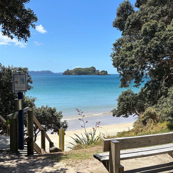 Opito Bay Studio and Cabin Getaway
