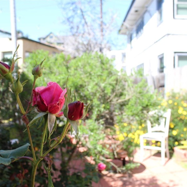 Orange Tree Cottages Downtown