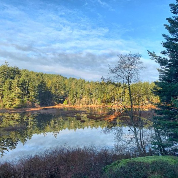 Otter's Pond Bed and Breakfast