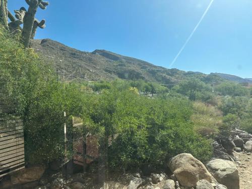 Our Mountain View