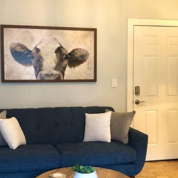 Overlooking Downtown Dunedin Two Bedroom apartment