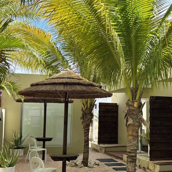 Palapa Suite # 7, walk to Eagle Beach