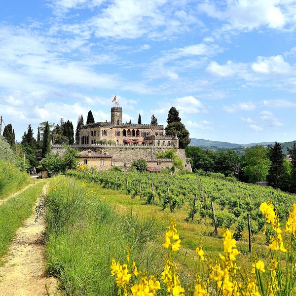 Panoramic castle with large pool on the walls. Ideal for weddings and events