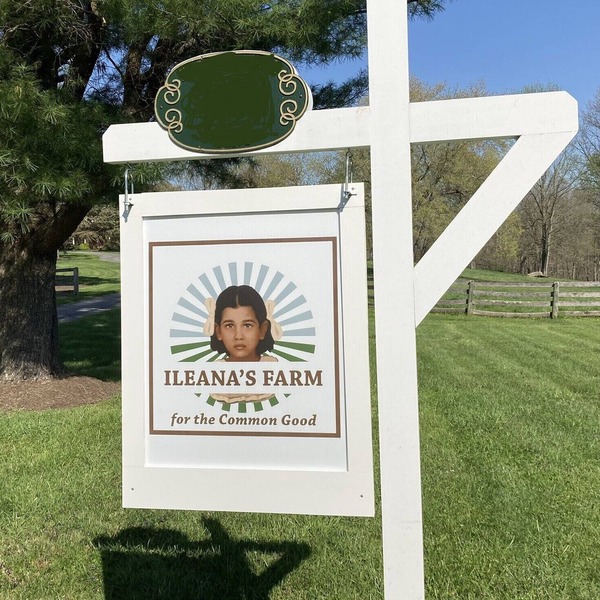 Peaceful 24-Acre Horse Farm Retreat Estate with Pool Near DC