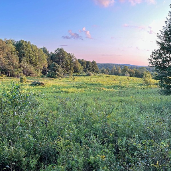 Peaceful Cabin in charming Starrucca PA