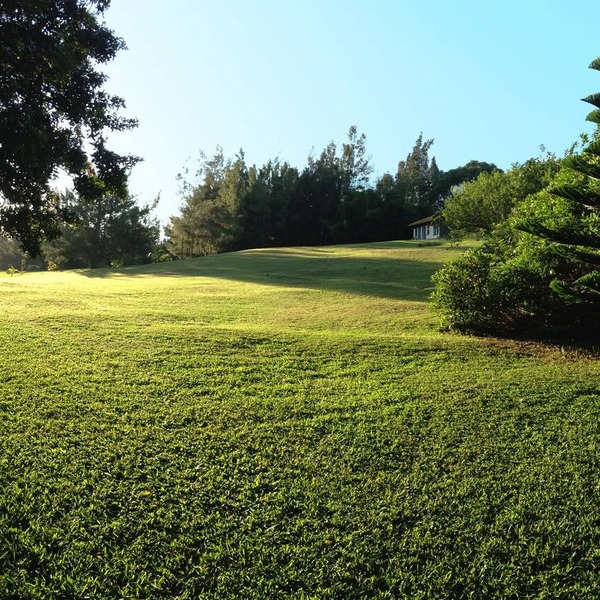 Peaceful & Private Studio - 12 Acre Hobby Organic Fruit Farm - Beach 10min