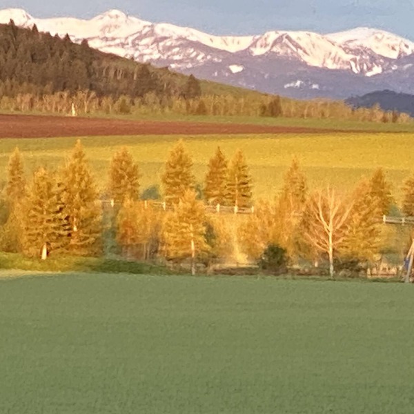 Peaceful Setting. Amazing Views! Close to DwnTwn & MSU
