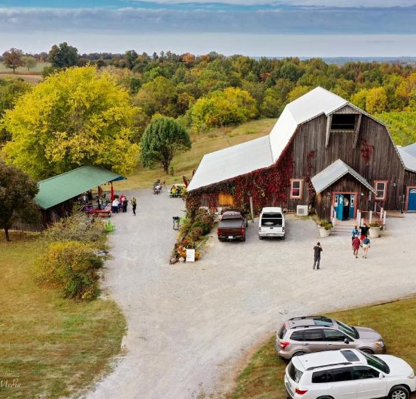 Peachbarn Winery & Cafe