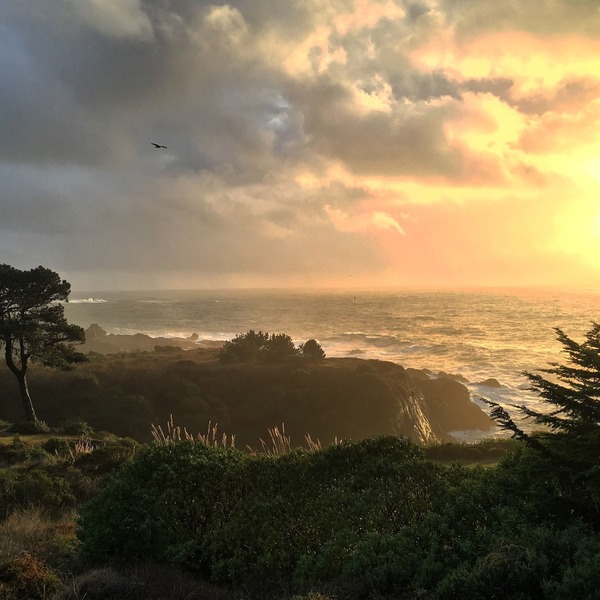 Pelican Point, Dramatic Ocean & Coast Views, Spa, Next to Town