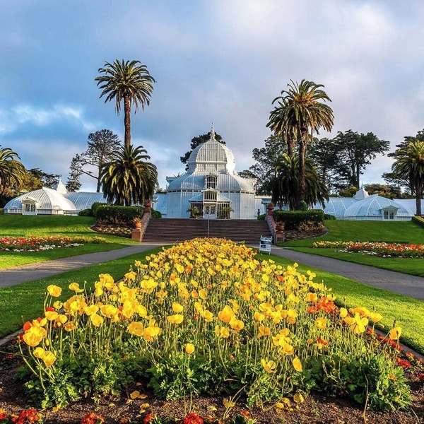 Perfect for Groups! 4 Pet-friendly Units Close to Cable Car Museum!