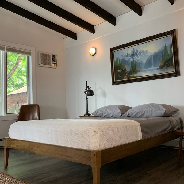Pet Friendly 1 BR Apartment in Uptown Kingston + Huge Backyard & Full Kitchen