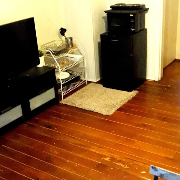 Pet friendly charming, artsy 1920 home in the heart of Houston