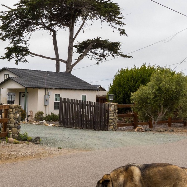 Pet Friendly Cottage