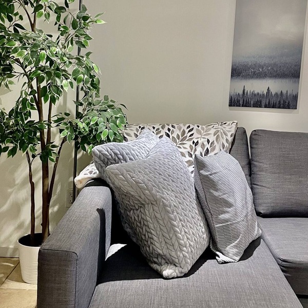 Pet friendly cozy basement apartment in Queen West