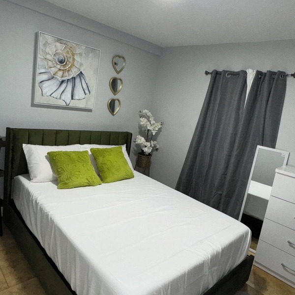 Pet-Friendly Cozy Stay .Free Street Parking + Fast WiFi .Near Airport & LIRR