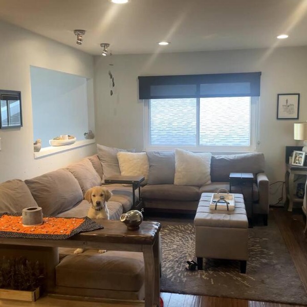 Pet friendly in Boulder! Minutes from CU & Pearl!