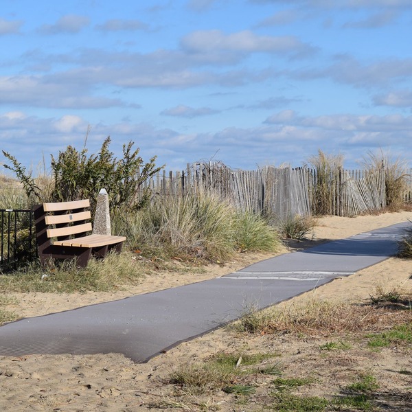 Pet Friendly Ocean Front Building Downtown Dewey Beach Sleeps 7
