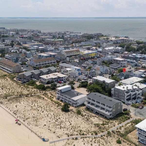Pet Friendly Ocean Block Dewey Beach House