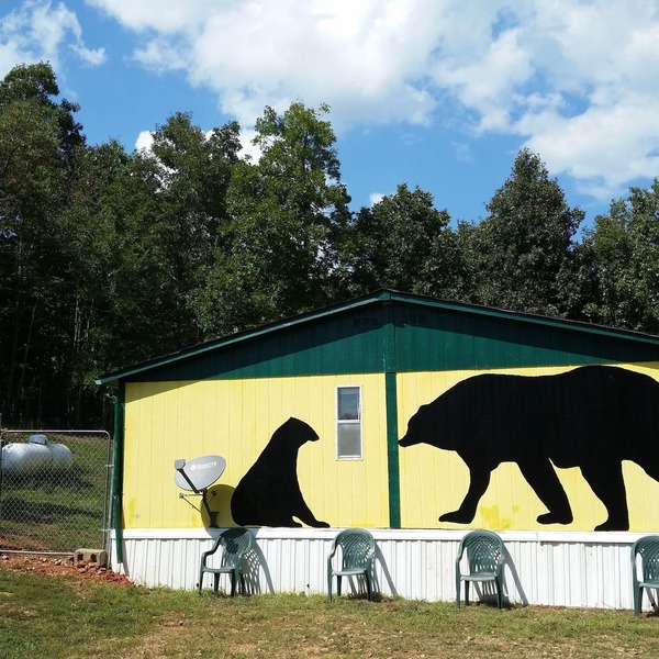 PET FRIENDLY REASONABLY PRICED MOUNTAINTOP COTTAGE