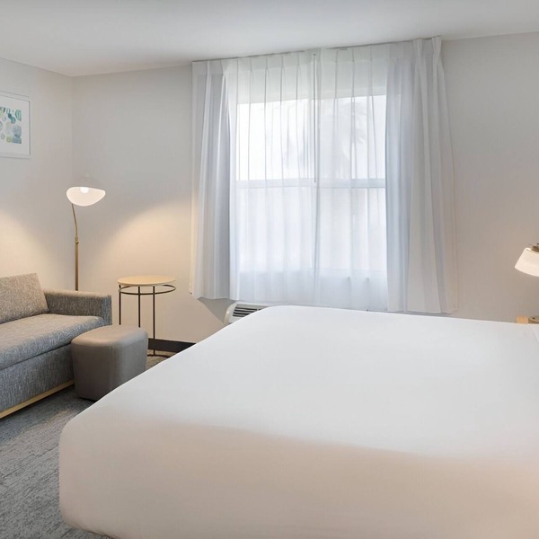 Pet-Friendly Studio with Full Kitchen Perfect for Extended Stays in Tampa
