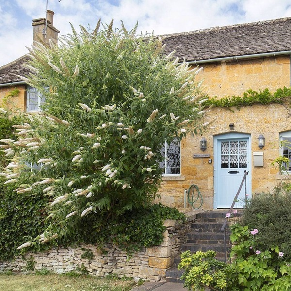 Pilgrim Cottage - sleeps 8 guests in 4 bedrooms