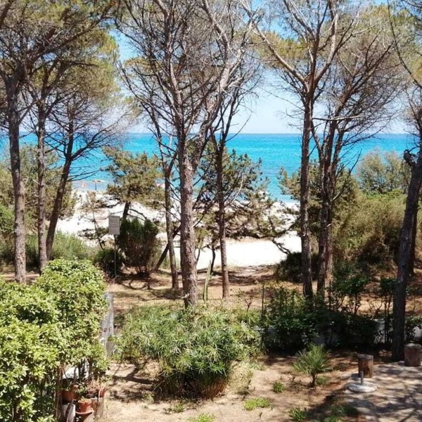 PINE CONE DIRECT ACCESS TO THE BEACH (NO WIFI) CIN IT091063C2000S5156