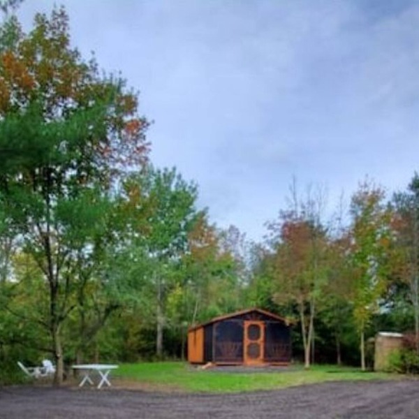 Pine Cone Off grid cabin near Watkins Glen, NY!