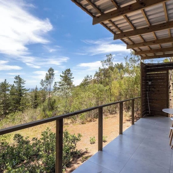 Pine Forest Retreat Cabin Verandah + Braai
