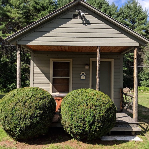 Pine Tree Motel & Cabins