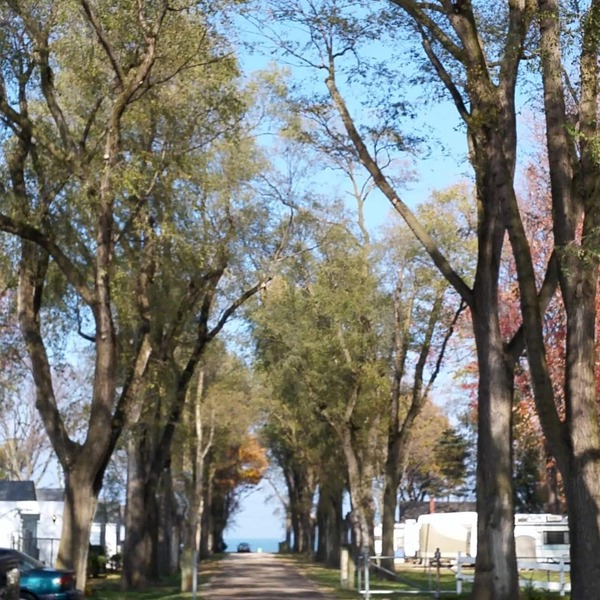 Plantation Motel