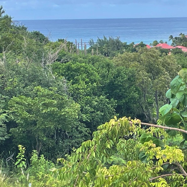Pleasant, quiet villa five minutes' walk from the beach of st Jean🌴