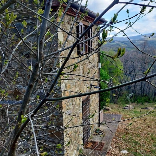 Podere Frassinelli, casa nel bosco