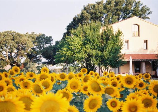 Podere Le Querce