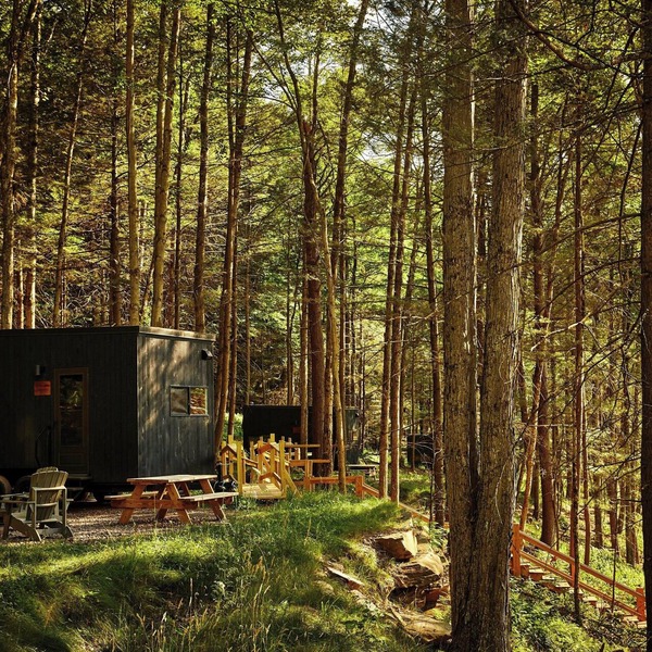 Postcard Cabins Eastern Catskills, Outdoor Collection by Marriott Bonvoy