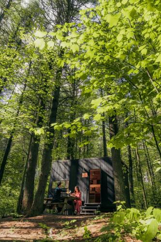 Postcard Cabins Kettle River, Outdoor Collection by Marriott Bonvoy