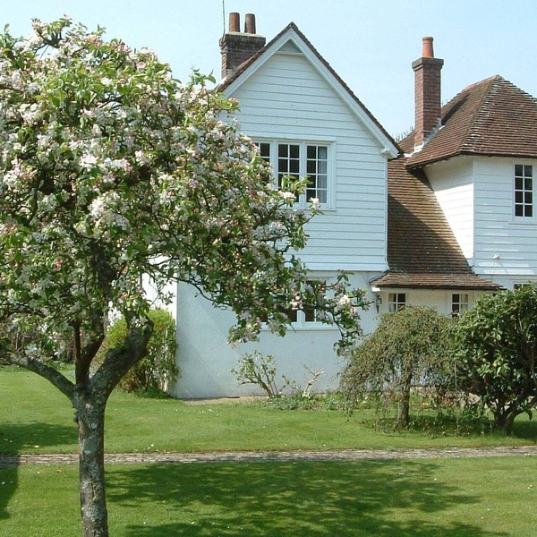 Pretty cottage with direct access to The New Forest