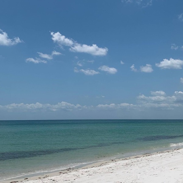 Private Beach Access Condo - Vanderbilt Beach