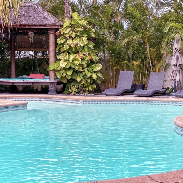 Private Boutique Resort in Hawaiian Paradise-Lush Backyard, Pool, Wifi & BBQ!