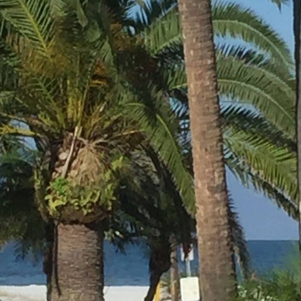 PRIVATE COTTAGE OCEAN VIEW 44 PACES TO BEACH, CLOSE TO RESTAURANTS AND SHOPS