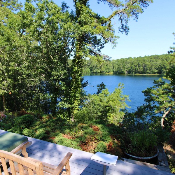 Private Cottage Compound On Ryders Pond with Pristine Yard (2215)