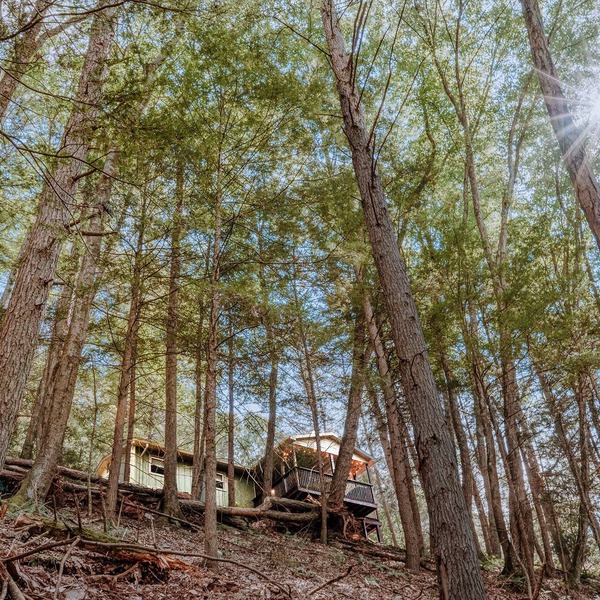 Private Creekfront-fish-Kayaks,campfire,decks, well known trout stream, privacy