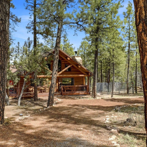 Private Dog Friendly Log Cabin on 2 Acres No Front Neighbors