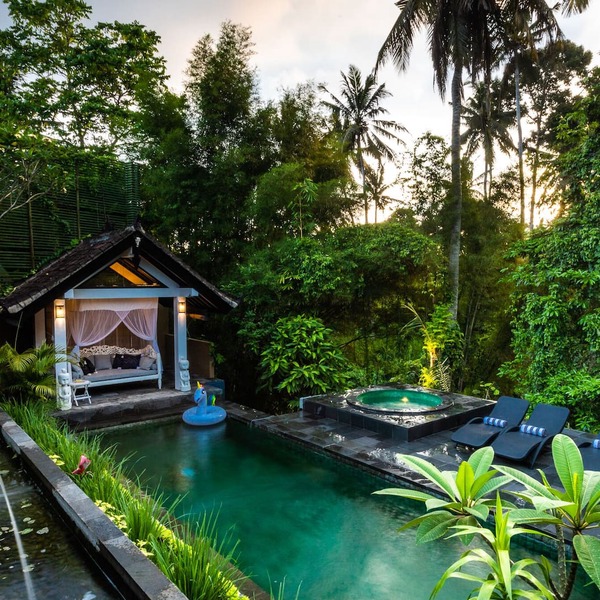 Private Jungle Oasis with a Pool, Sauna, Hot Tub, Cold Plunge