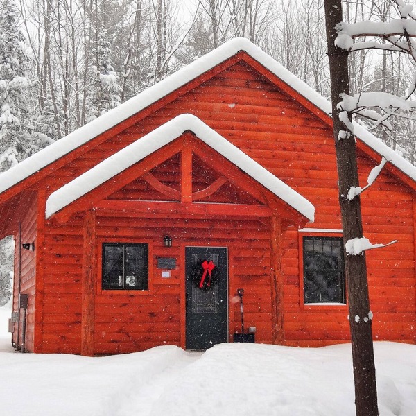 Private pet-friendly cabin in the woods w/private campfire pit & screened porch