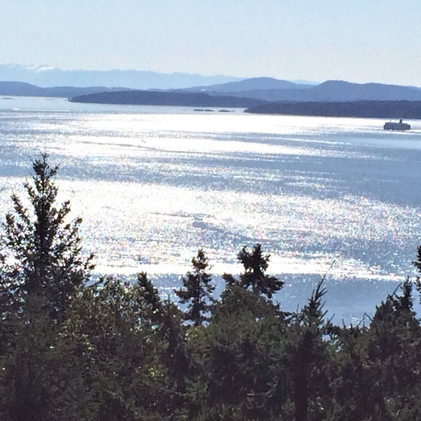 Private, spectacular ocean vistas, swimming pool, EV charger !