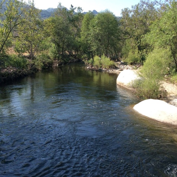 Private, upscale, riverfront cabin, sleeps 6; amazing amenities to dazzle