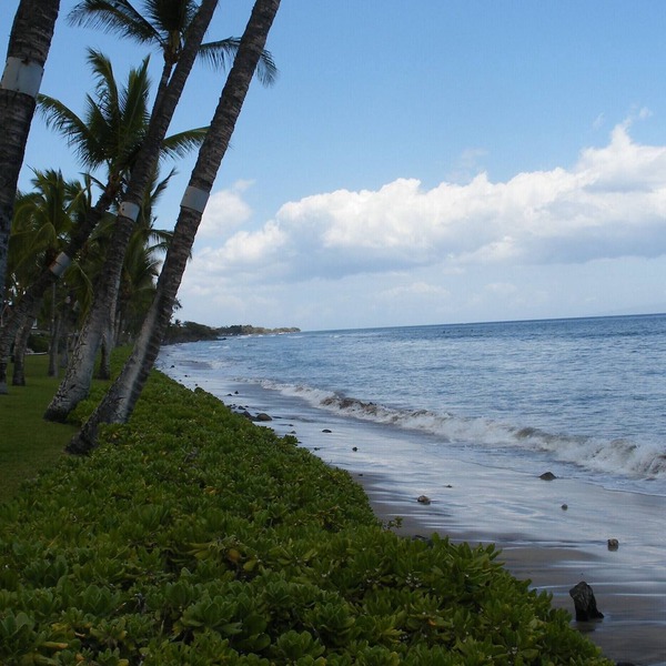 PUAMANA 2 BR PREMIER UNIT 200 Ft. from Ocean 153-6