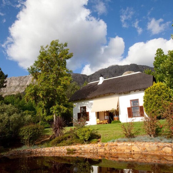 Pure indulgence on an olive farm surrounded by fynbos nature and vineyards