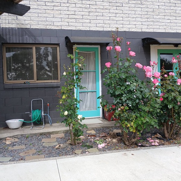 Quiet apartment with WiFi, parking, kitchen & bathroom in charming Putāruru -