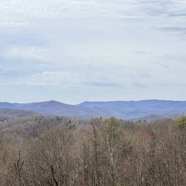 Quiet, Extensive Mountain View Escape with 40+ private acres - 3 miles from town